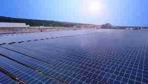 中美硅晶与菠菜论坛光电携手战略合作