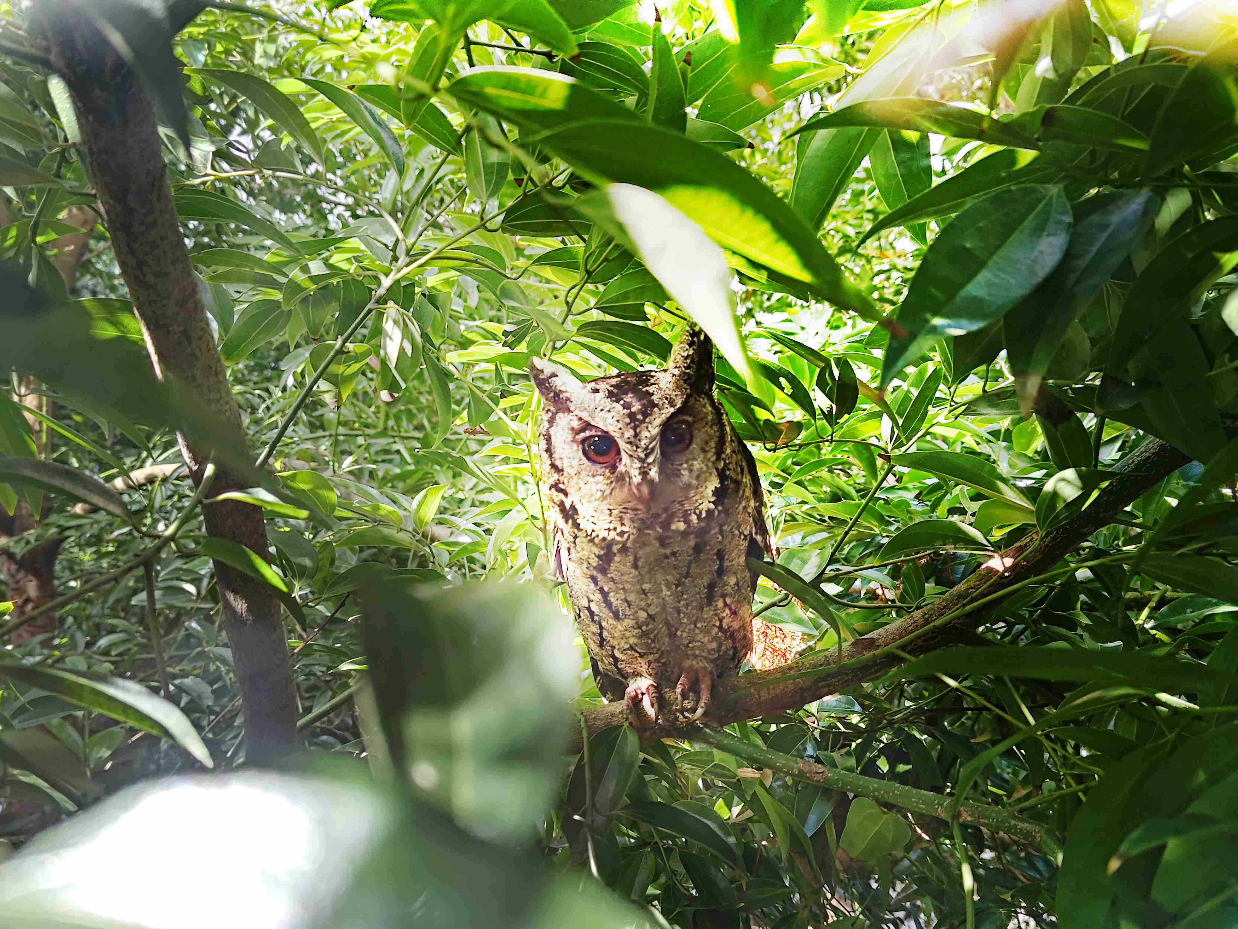 菠菜论坛致力提倡净零绿生活，，，，16年以来在全球各厂区植树逾百万棵，，造就各厂区树木蔚然成林，，，，犹如森林工厂，，，，成为许多生物的栖息地